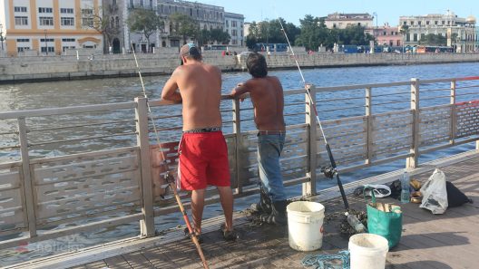 Cuba decreta receso laboral este viernes 3 de abril: quiénes sí deben trabajar