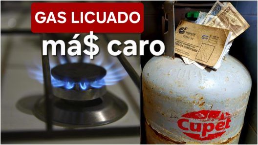 Gas licuado en dólares: «La balita a 29 dólares, pero debes llegar a 50 y luego pagar el envío»