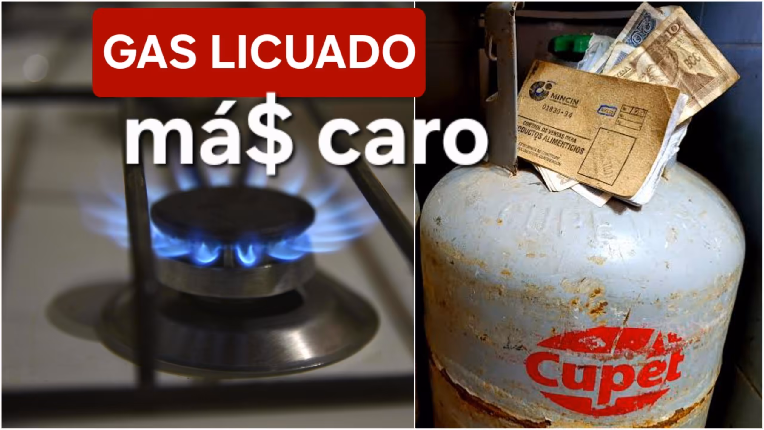 Gas licuado en dólares: «La balita a 29 dólares, pero debes llegar a 50 y luego pagar el envío»