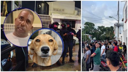 Este es el video de la revuelta en Cancún tras agresión de un cubano por la mordida de un perro