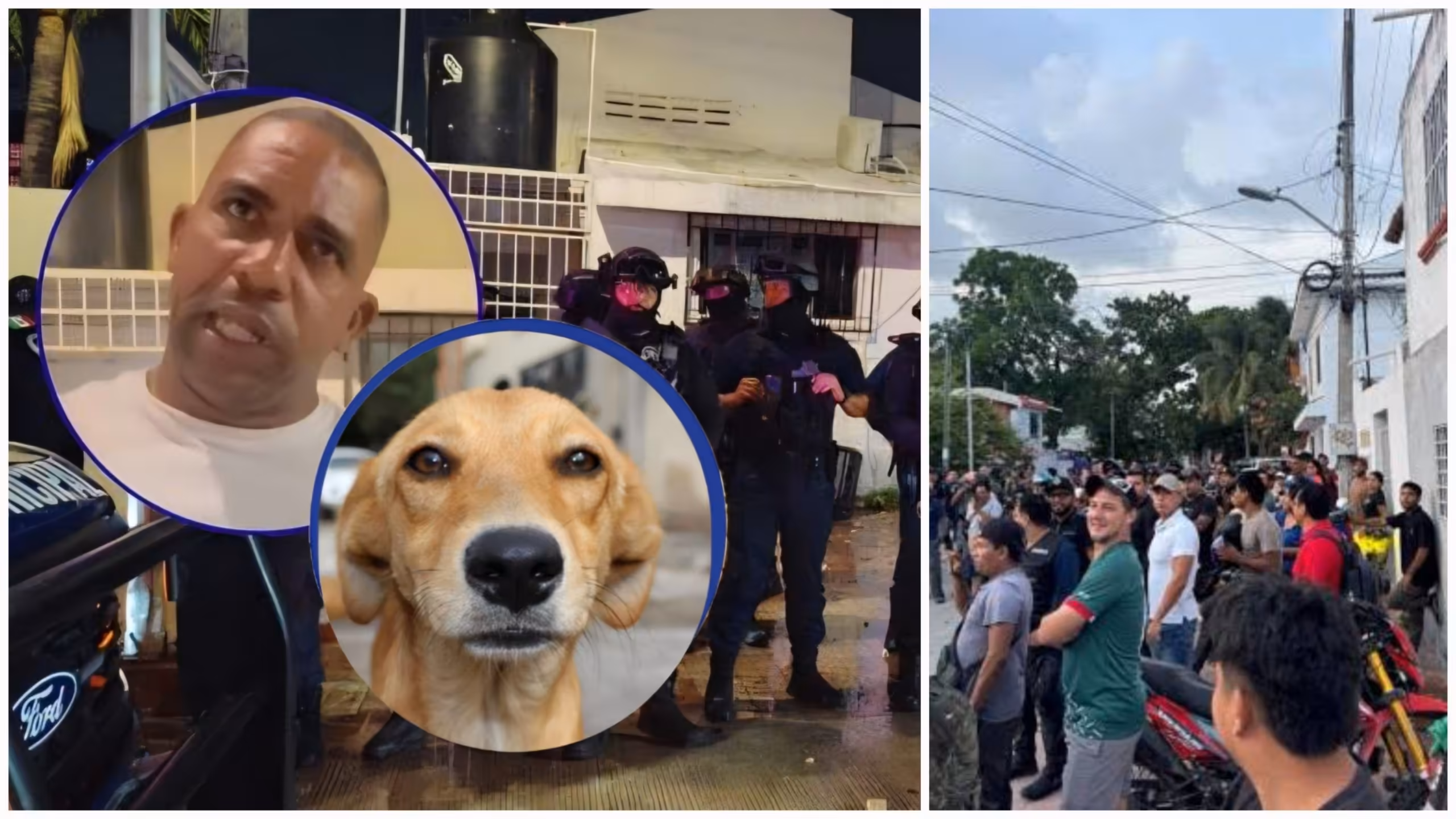 Este es el video de la revuelta en Cancún tras agresión de un cubano por la mordida de un perro