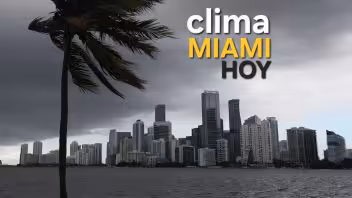 Clima en Miami hoy: lluvias, tormentas y vientos este 20 de mayo