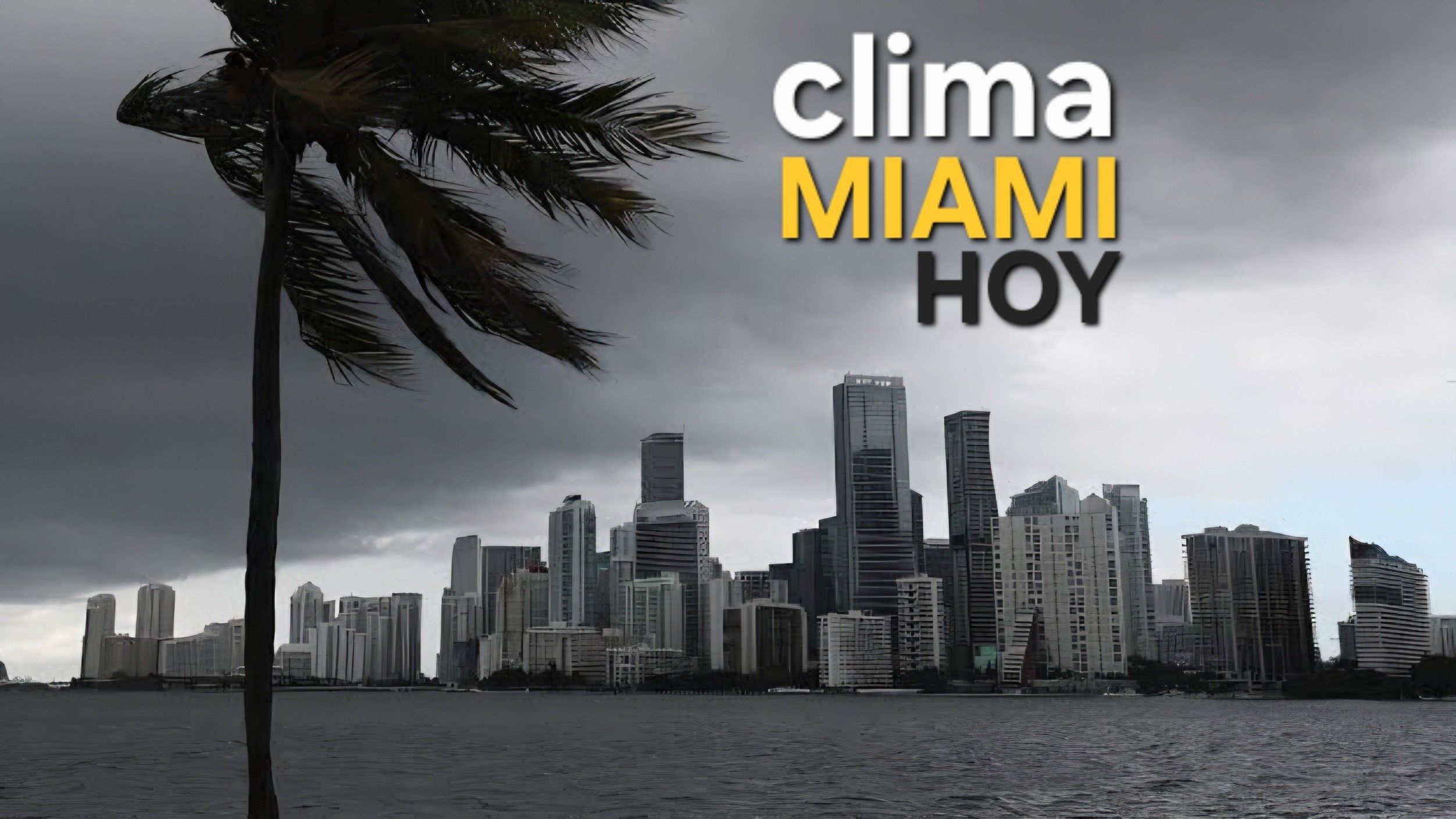 Clima en Miami hoy: lluvias, tormentas y vientos este 20 de mayo