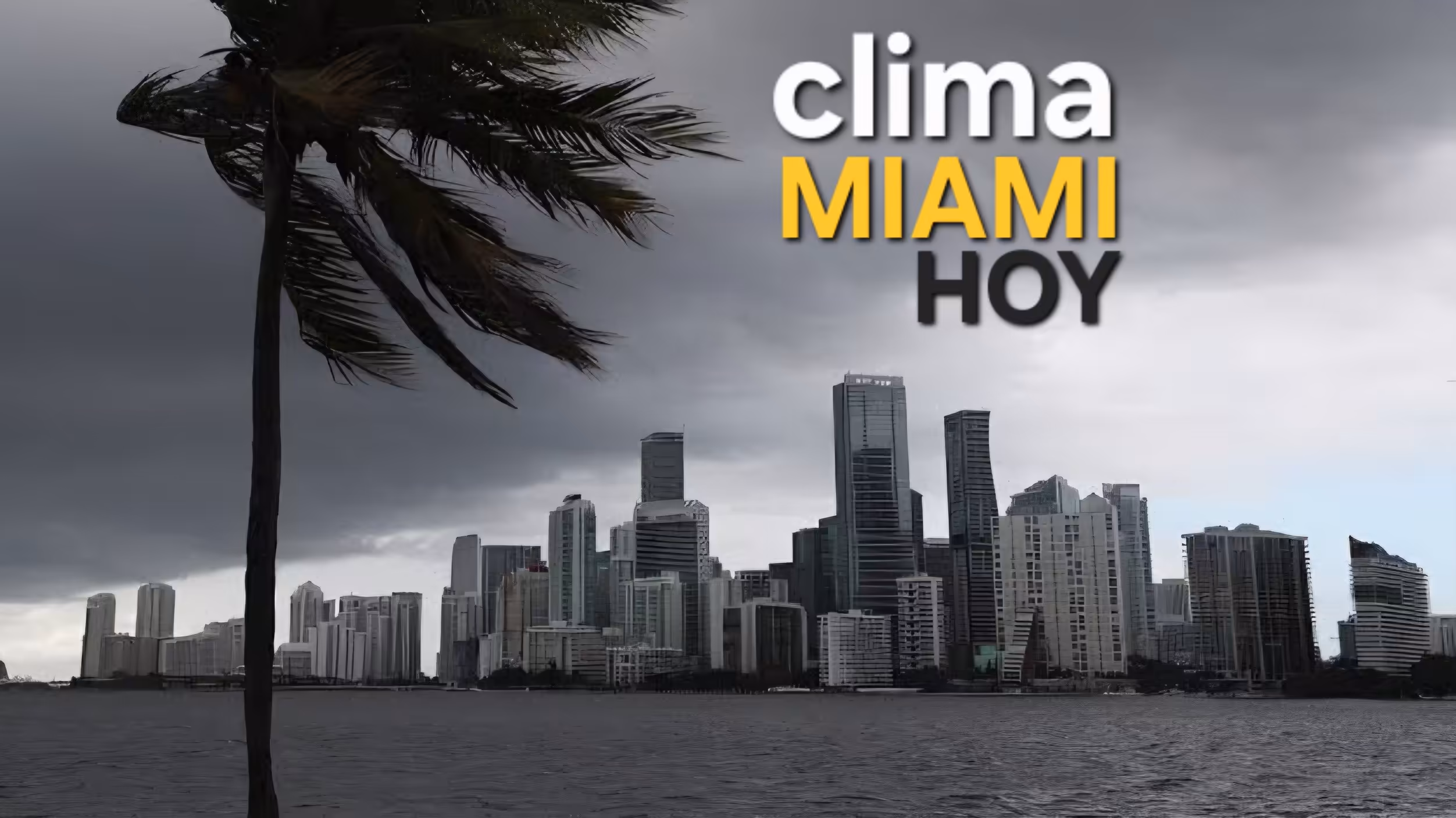 Clima en Miami hoy: lluvias, tormentas y vientos este 20 de mayo
