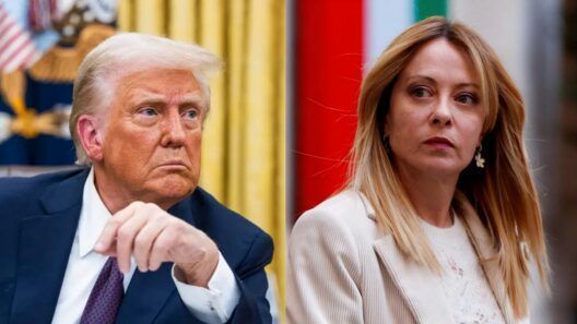 Meloni le da un tapabocas a Trump: “no es asunto tuyo”