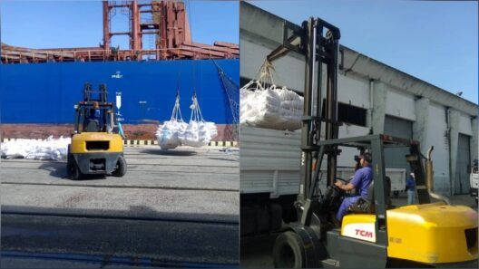 Gobierno cubano lleva casi un mes descargando el barco de arroz donado por China