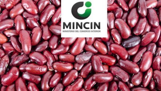 MINCIN anuncia venta de frijoles en bodegas de esta provincia cubana