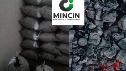 MINCIN anuncia venta «controlada» de carbón en bodegas de esta provincia cubana