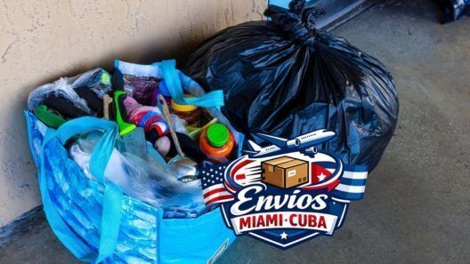 Ya no solo envían comida: cubanos en Miami ahora mandan fogones de carbón a la isla