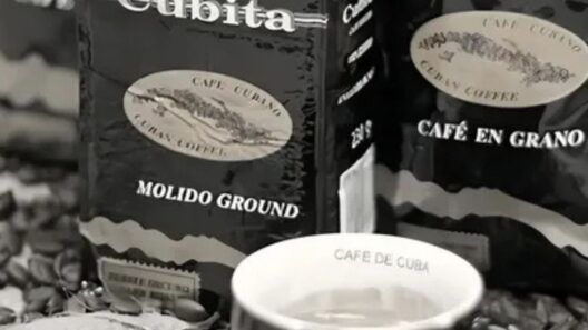 Cuba celebra exportaciones de café mientras muchos cubanos siguen sin verlo en sus mesas