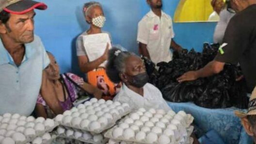 Pollo, huevoz y arroz: llegan las donaciones de mipymes a entidades del Estado en Cuba