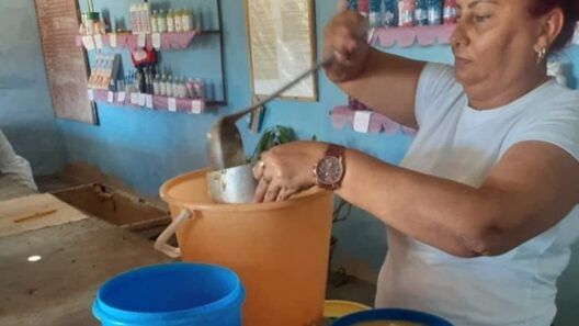 Venta de caldosa en bodegas cubanas desata debate: ¿ayuda necesaria o señal de la crisis?