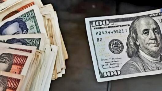 ¿Bajará a 600? Se hunde el precio del dólar en Cuba