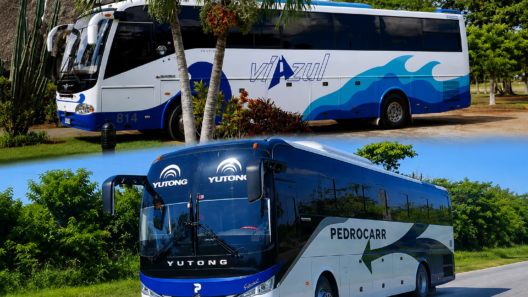¿Viazul o Pedrocarr? Así se comparan las dos opciones para viajar por Cuba con reserva online en euros