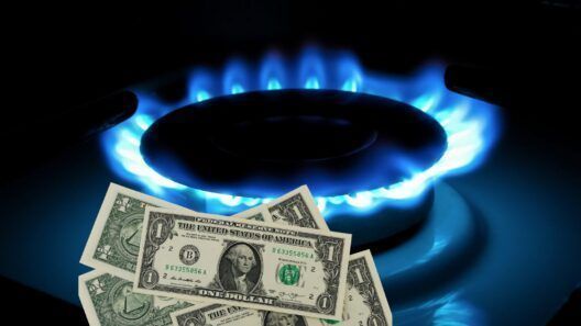 Nueva modalidad para comprar gas en dólares Cuba deja fuera a jubilados y amas de casa