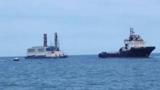 ¿Patana eléctrica en La Habana? La UNE aclara sobre el tema