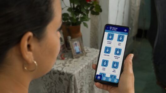 Nuevo servicio de ETECSA: estas empresas y negocios ya podrán acceder a él