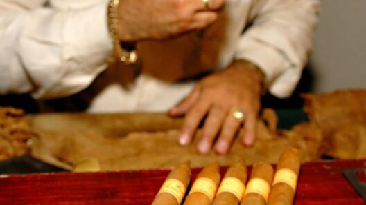 Golpe al tabaco cubano: suspenden el Festival del Habano 2026