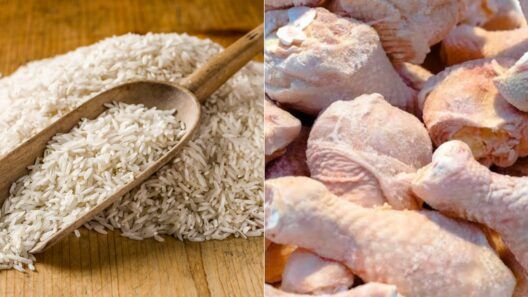 Canasta Básica en Cuba: distribución de pollo y arroz chino en varias provincias