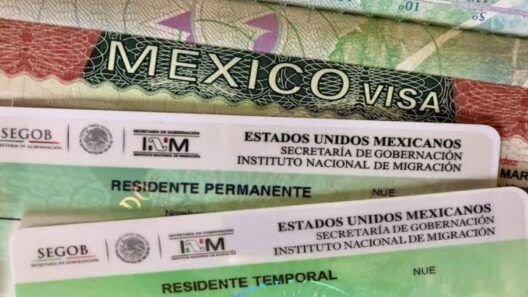 ¿Vas a tramitar la residencia temporal en México? Estos son los nuevos costos del INM