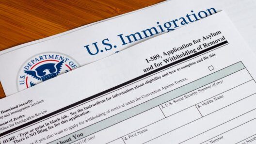 Más de 4000 cubanos reciben órdenes de deportación en Florida, Estados Unidos