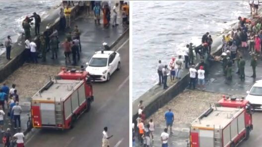 Muere una persona tras caer al mar en el Malecón de La Habana: vecinos dicen que recogía agua