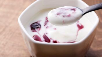 El precio del yogurt en Cuba sorprende: estas son las provincias donde cuesta hasta 600 pesos