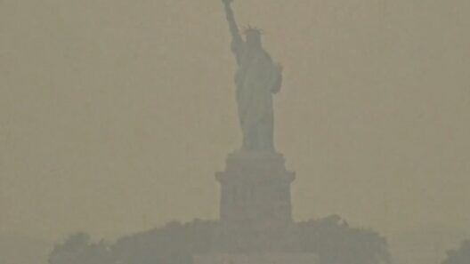 ¿Peligra la final del mundial de fútbol por el humo en Nueva York?