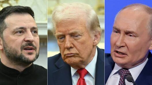 Trump habla con Putin y Zelenski antes de la cumbre de la OTAN en Ankara