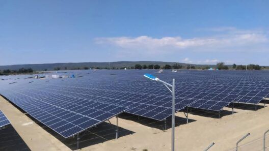 Cuba podría “independizar” provincias con parques solares para reducir los apagones