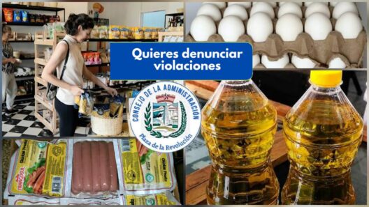 Gobierno crea canal de WhatsApp y habilita teléfonos para denunciar a Mipymes y otros negocios