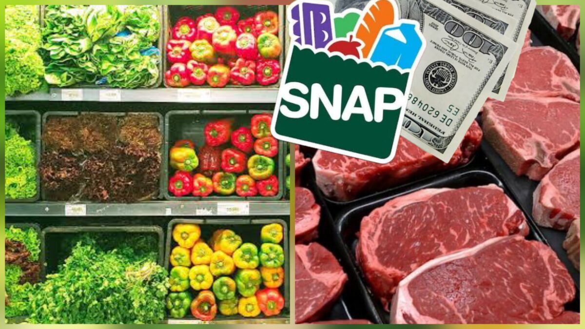 ¿Necesitas solicitar cupones de alimentos SNAP en Estados Unidos? Así cambian las reglas en cada estado