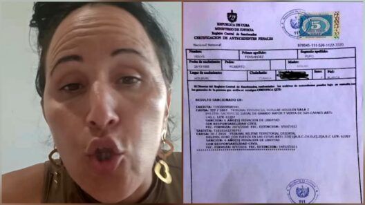 Cubana denuncia meses de espera por sus antecedentes penales en Cuba
