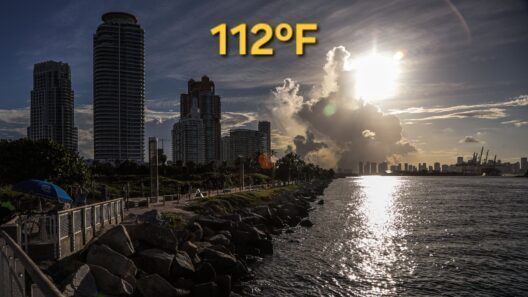 Hoy en Miami se van a sentir 112 grados de temperatura: Alerta por extremo calor en Florida