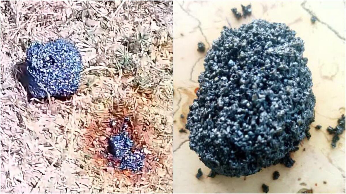 ¿Meteorito o basura espacial? Científico cubano pone en duda el origen del objeto hallado en Granma