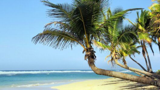 Cuba abriría la puerta a la llamada «Isla Trump»: megaproyecto de lujo en Cayo Santa María