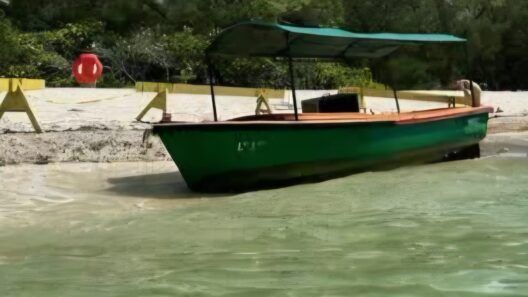 Encuentran embarcación con cerca de una docena de migrantes en cayos de la Florida