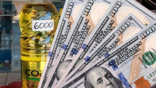 Dólar y euro en Cuba se mantienen altos. Así están las tasas de cambio hoy