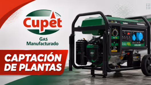 Empresa de Gas Manufacturado inicia la captación de plantas generadoras y anuncia inspecciones