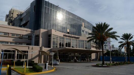 Alerta en Florida: Ya hay muertes por bacteria “come carne”