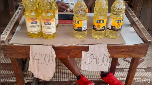 Precios de alimentos en Cuba: huevo llega a 300 pesos y aceite a 4.500