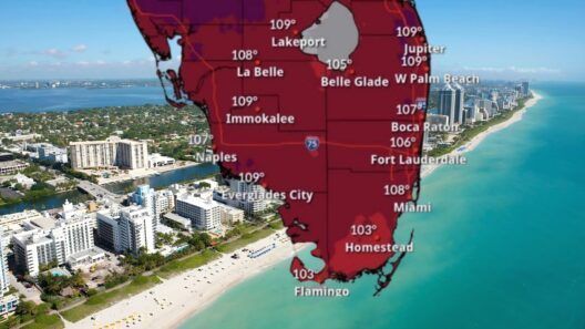 Arde Miami: Alerta por calor extremo en Miami y el sur de Florida que puede alcanzar 110 °F