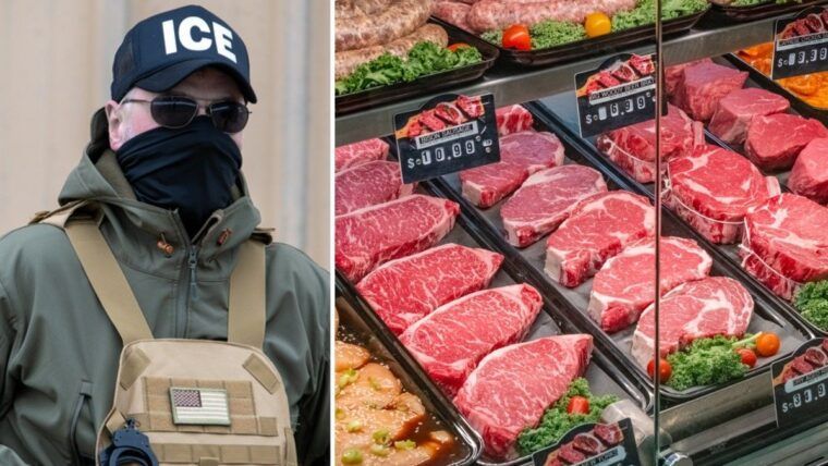 Operativos de ICE podrían elevar el precio de la carne de res, advierten ganaderos