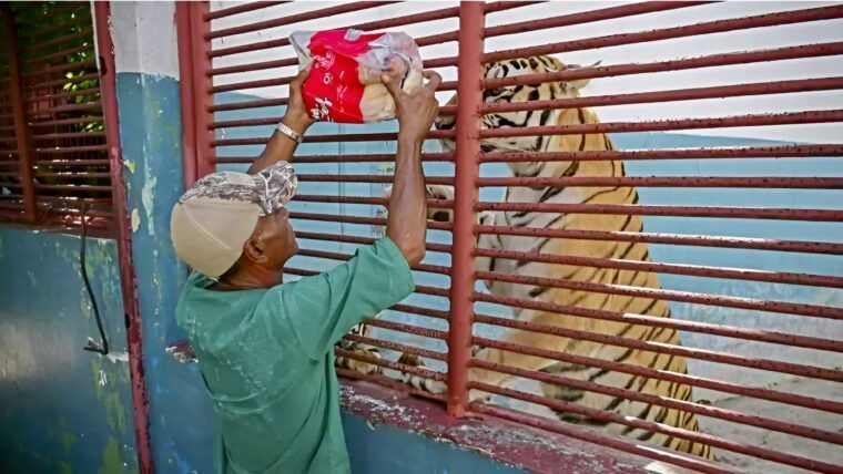 Zoológico Nacional raciona comida para sostener a casi 1.000 animales