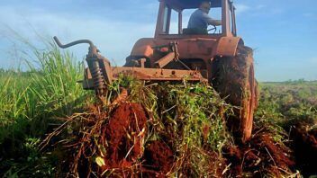 Deuda de la Empresa Agropecuaria Artemisa frena entregas de campesinos