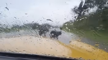 Ganado suelto en carretera La Habana–Matanzas pone en riesgo a conductores