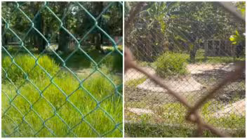 Zoológico de Colón aparece vacío entre maleza, basura y ruinas