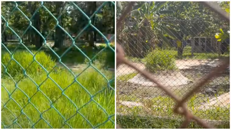 Zoológico de Colón aparece vacío entre maleza, basura y ruinas