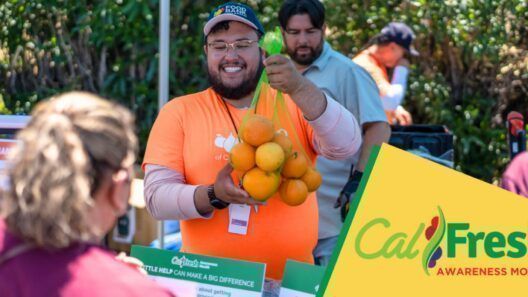 Pago de CalFresh en octubre de 2026: fechas y nuevos montos en California