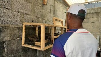 Cubanos deportados a México enfrentan un limbo migratorio